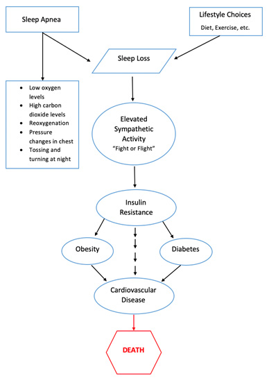 SleepFacts_EckCreativeMedia_Design_Sleep_Apnea_Sleep_Loss_Graph